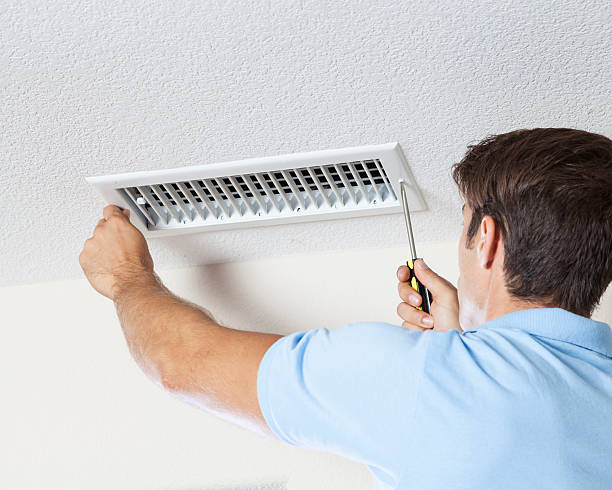 Best Mold Prevention Services  in Pine Island Center, FL