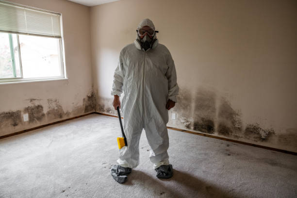 Trusted Pine Island Center, FL Mold Removal Experts